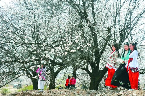 188足球旧版界面预览